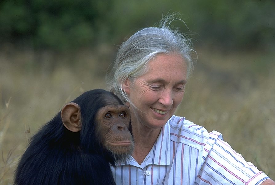 Jane-Goodall-the-founder-of-the-JaneGoodall-Institute.-She-is-a-an-anthropologist-primatologist-ethologist-and-a-UN-Ambassador-for-Peace.