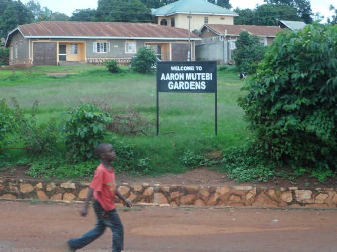 The controversial  Aaron Mutebi Gardens located  in Kitoro.