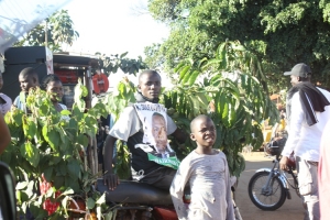 A DP Supporter covered in green leaves.