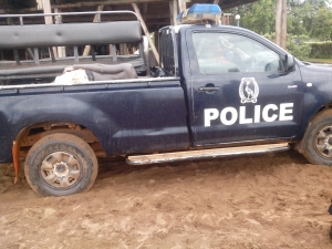 Bodies on police pick up truck.