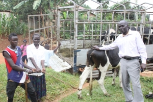 Col. James Male (R) hands over a cow to a NAADS   Beneficiary.