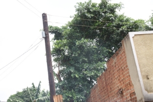 The electricity wires that sparked the fire.