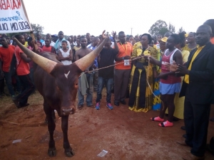 MP Tumusiime hands over the bull to Katabi-Busambanga who emerged champions of the Netball Gala.