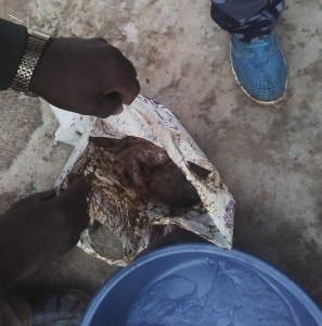 Baby in a polythene bag was found alive.