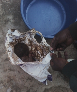 Baby in a polythene bag was found alive.