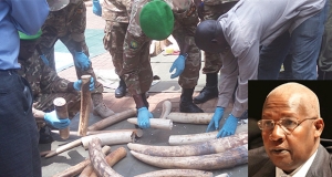 Wildlife officials and police counting the smuggled ivory.