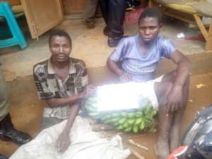 Abbas Byekwaso and Fideri Muhindo will be charged with theft over stealing Matooke and Cassava.