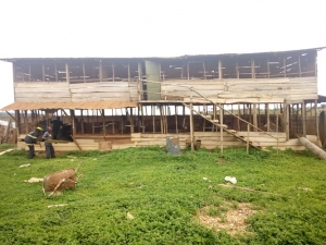 The cocaine manufacturing factory which he has been disguising as a poultry farm.