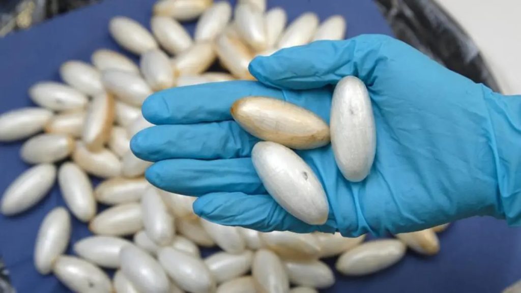 Ugandan Woman arrested with over 3billion worth of drugs at Indian Airport