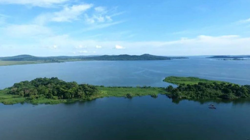 Lake Victoria fish farmers seek government intervention over floating wetland