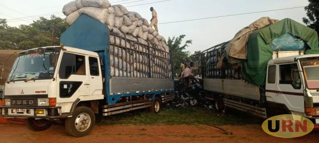 Uganda Police declares another war on charcoal