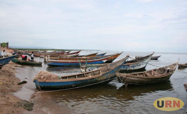 Lake Albert fishermen decry tough new fishing rules