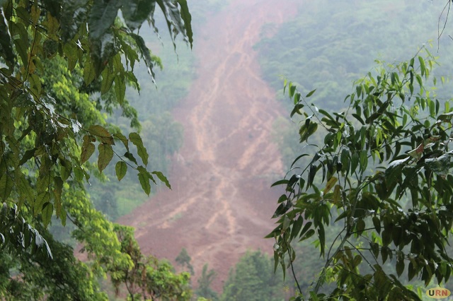 Leaving, Returning, Surviving: The climate migration dilemma in Bududa